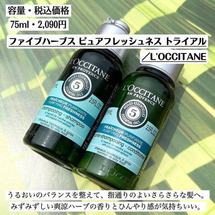 ファイブハーブス ピュアフレッシュネス シャンプー/コンディショナー/L'OCCITANE/市販シャンプーを使ったクチコミ(2枚目)