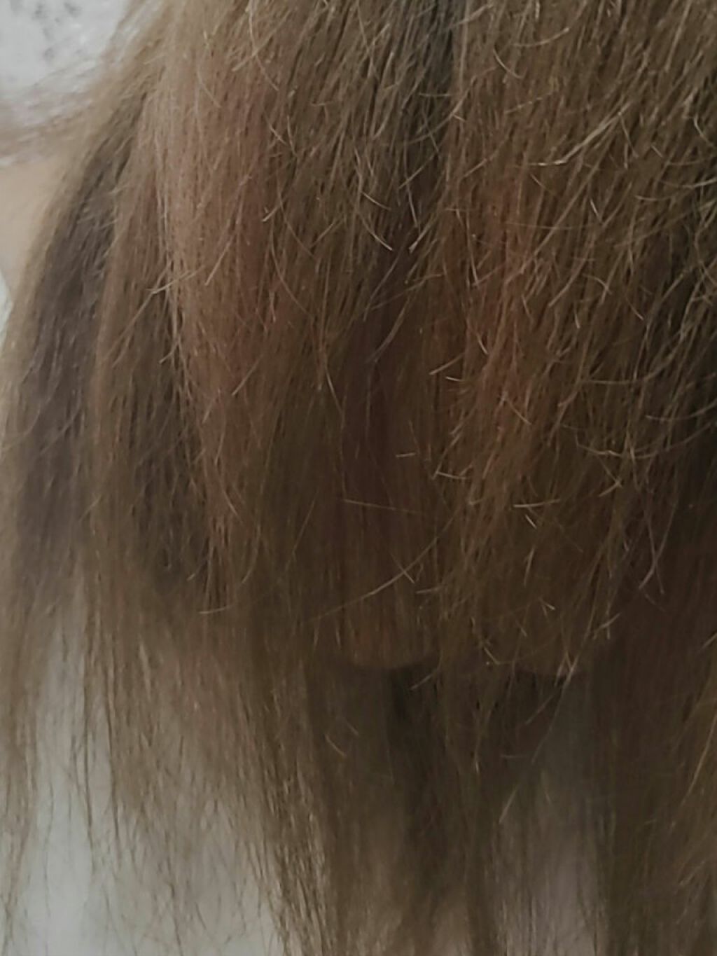 ボタニカルトリートメントダメージケア/BOTANIST/洗い流すヘアトリートメントを使ったクチコミ（3枚目）