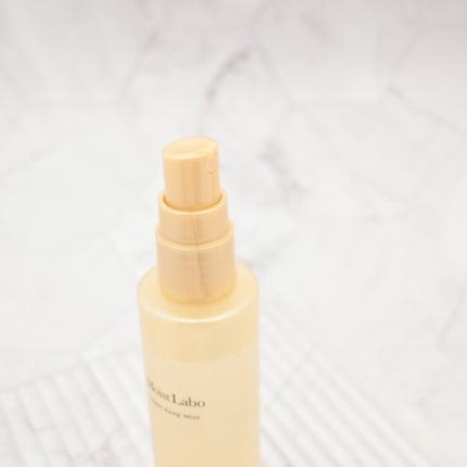 モイストラボ メイクキープミスト<ツヤタイプ>/Moist Labo/ミスト状化粧水を使ったクチコミ(2枚目)
