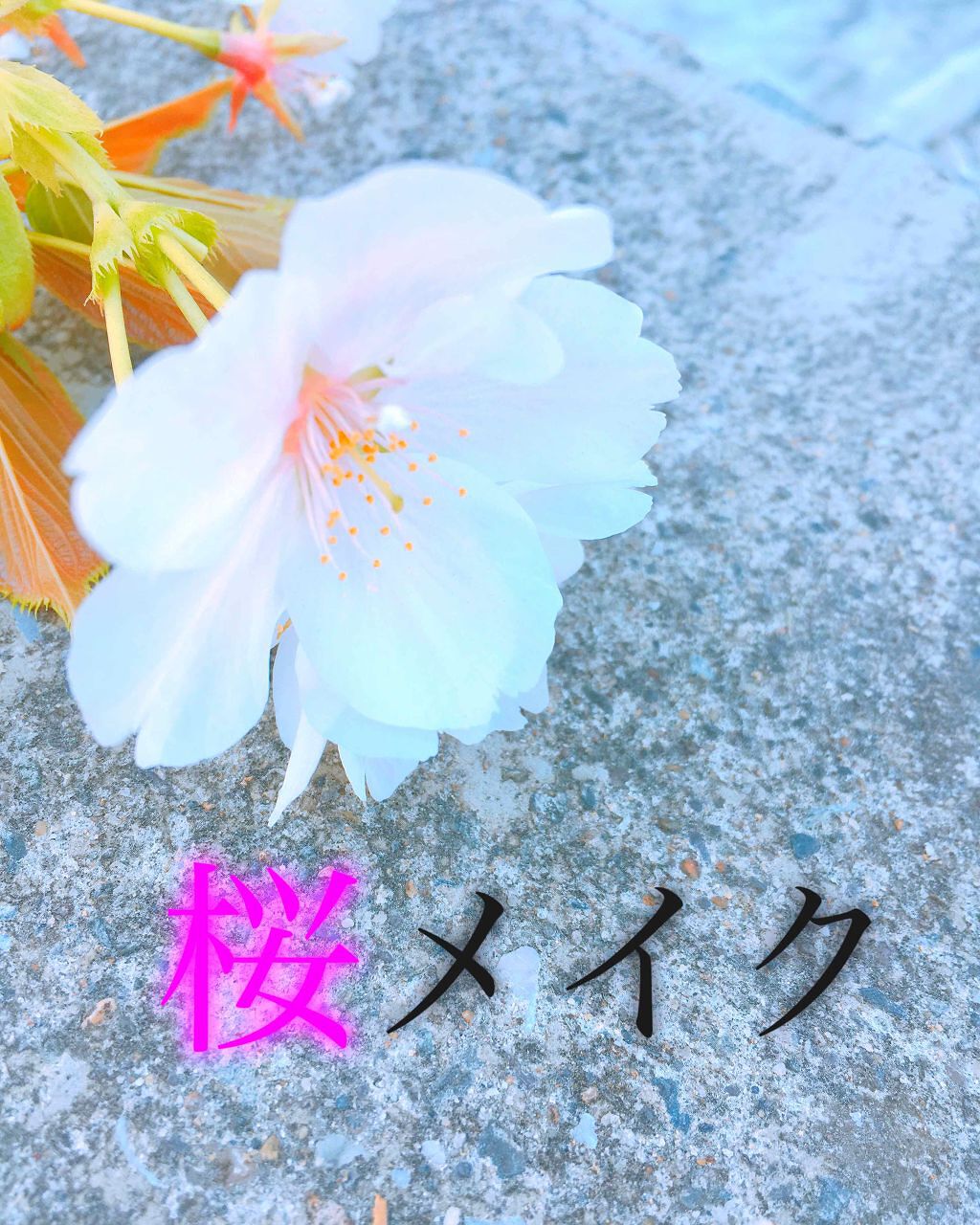 オペラ リップティント N/OPERA/リップティントを使ったクチコミ（1枚目）