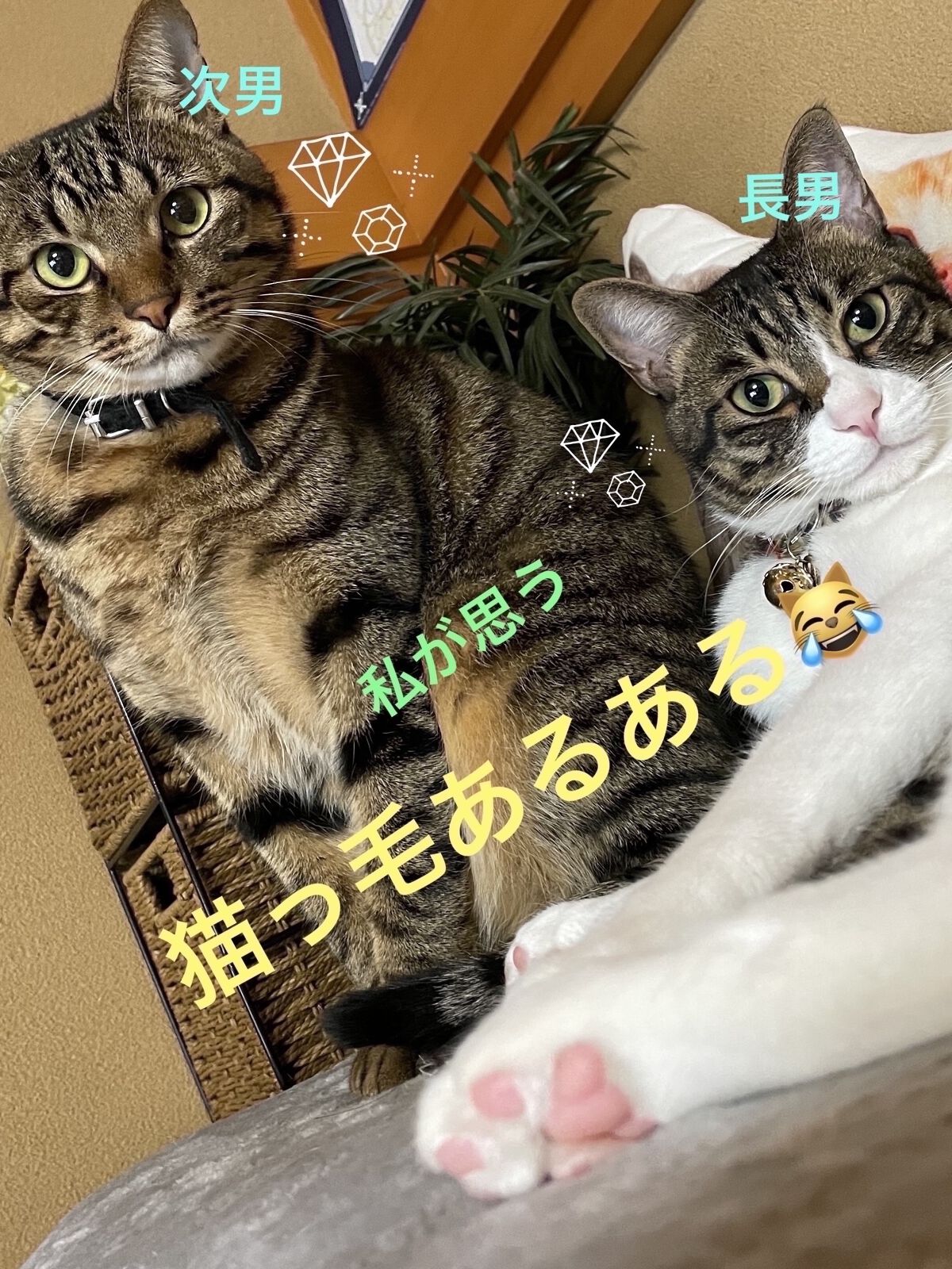 クリア ヘアプロテクト スパークリング 薬用育毛トニック/クリア/頭皮ローションを使ったクチコミ（1枚目）