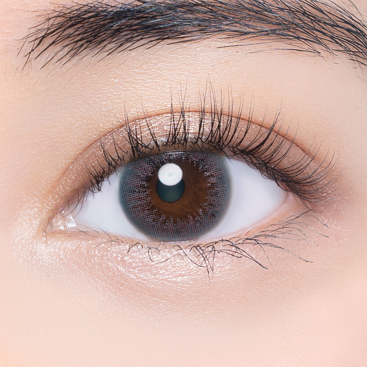 VNTUS 1day ブルーキスト