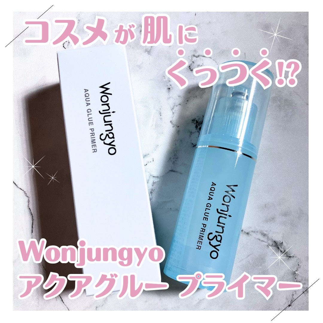 ウォンジョンヨ　アクアグルー　プライマー/Wonjungyo/化粧下地を使ったクチコミ（1枚目）