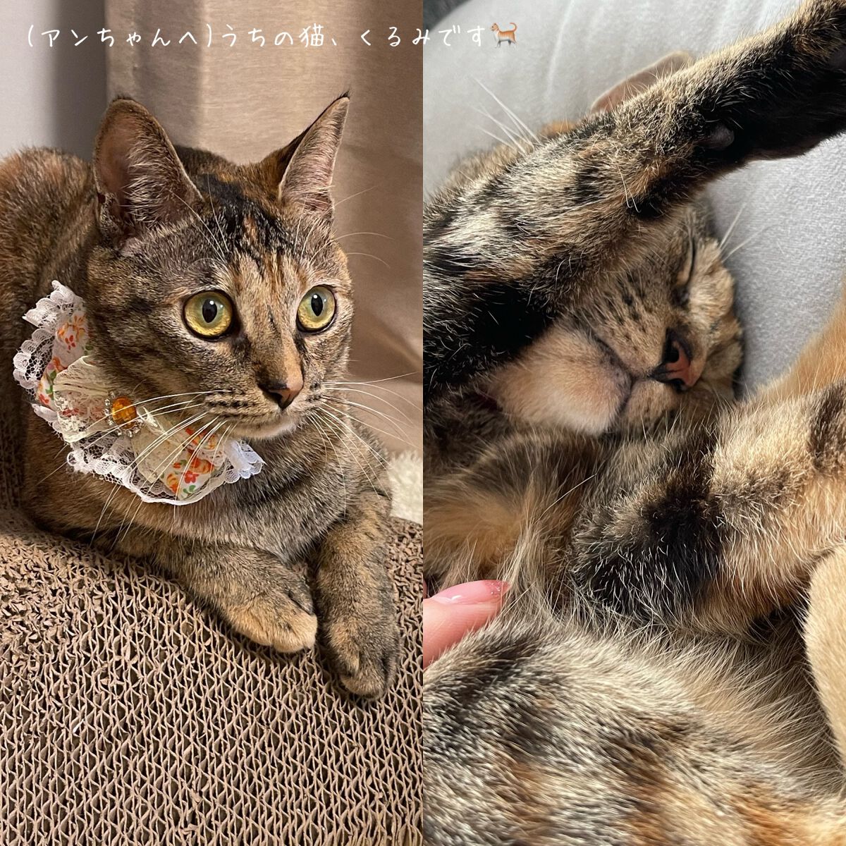 アイ カラー クォード/TOM FORD BEAUTY/アイシャドウパレットを使ったクチコミ(9枚目)