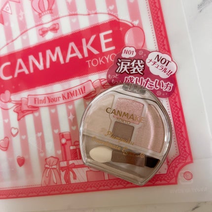 プランぷくコーデアイズNeo/キャンメイク/アイシャドウを使ったクチコミ(1枚目)