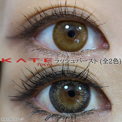 ケイト ラッシュバースト/KATE/マスカラを使ったクチコミ(1枚目)