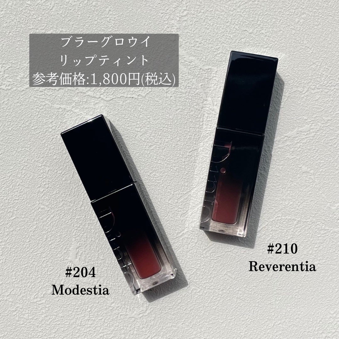 ブラーフィニシュシャドウパレット/Dinto/アイシャドウパレットを使ったクチコミ(5枚目)