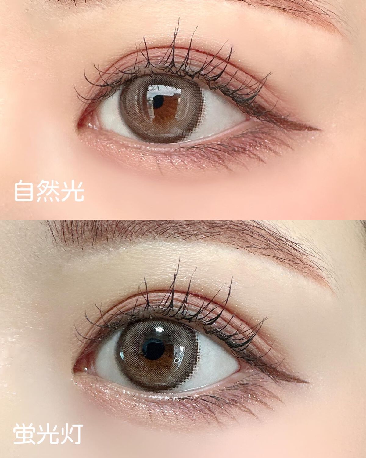 chuuLENS Milk&Tea 1day/chuu LENS/ワンデー（１DAY）カラコンを使ったクチコミ（3枚目）