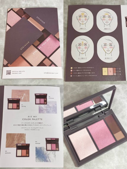 フィット my カラーパレット/STEIASUR(ステイアシュール)/マルチパレットを使ったクチコミ(2枚目)