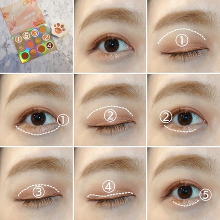 Eye Palette-Sweet Talk/ColourPop/アイシャドウパレットを使ったクチコミ(4枚目)