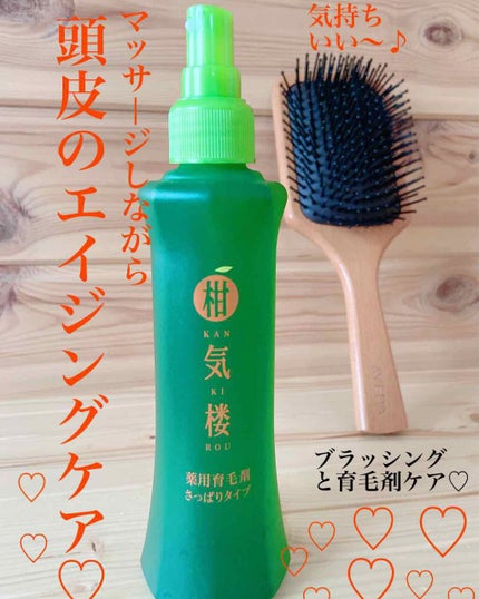 パドル ブラシ/AVEDA/ヘアブラシを使ったクチコミ(1枚目)