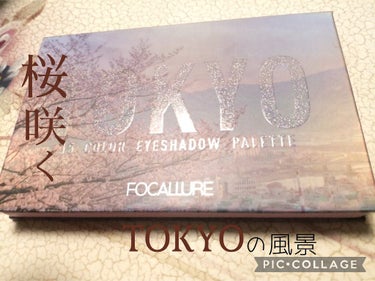 GO TRAVEL 15色アイシャドウパレット 07 トーキョー(hi Tokyo)/FOCALLURE/アイシャドウパレットを使ったクチコミ（2枚目）