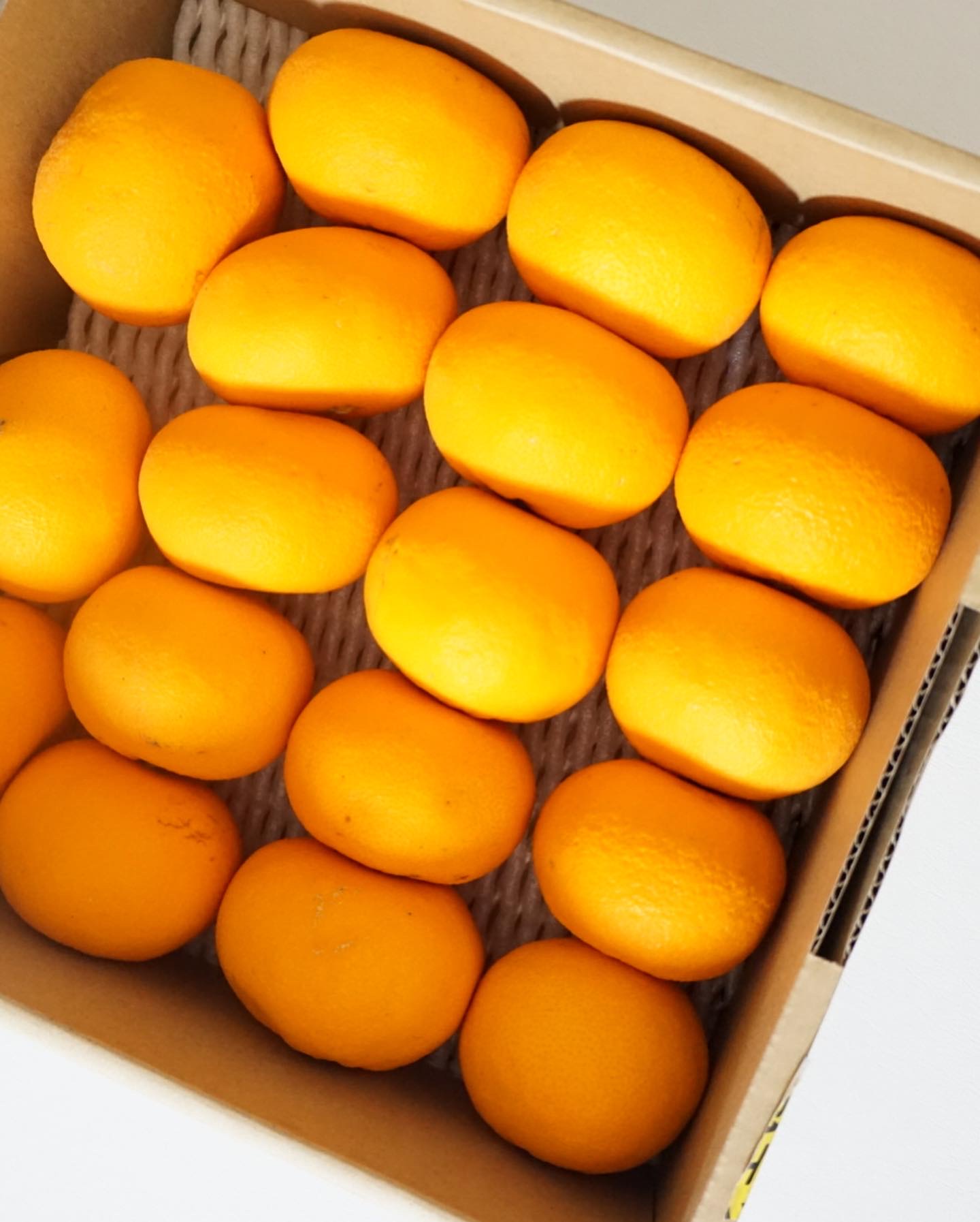 万田発酵プラス温 発酵しょうが/万田発酵/酵素ドリンクを使ったクチコミ（2枚目）