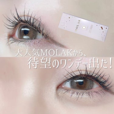 ♡MOLAKのあの子が待望の1day化♡

MOLAK 1day
Dark Peony
¥1,760 (1day / 10枚入)

レンズ直径14.2
着色直径13.5
BC8.6

MOLAKさん (