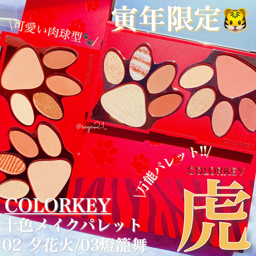 トラ十色アイシャドウパレット/COLORKEY/アイシャドウパレットを使ったクチコミ（1枚目）
