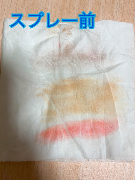 セッティングフィクサー/VELY VELY/フィックスミストを使ったクチコミ(3枚目)