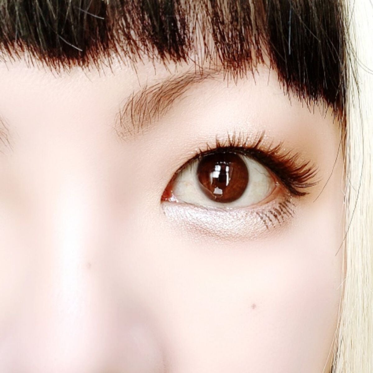 ベージュトーンアイシャドウ/CEZANNE/アイシャドウパレットを使ったクチコミ(6枚目)