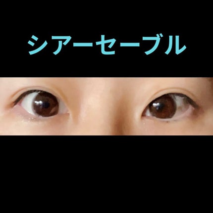 ReVIA 1day/ReVIA/ワンデー(1DAY)カラコンを使ったクチコミ(6枚目)