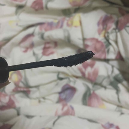 ラッシュティント/MAJOLICA MAJORCA/マスカラを使ったクチコミ(2枚目)