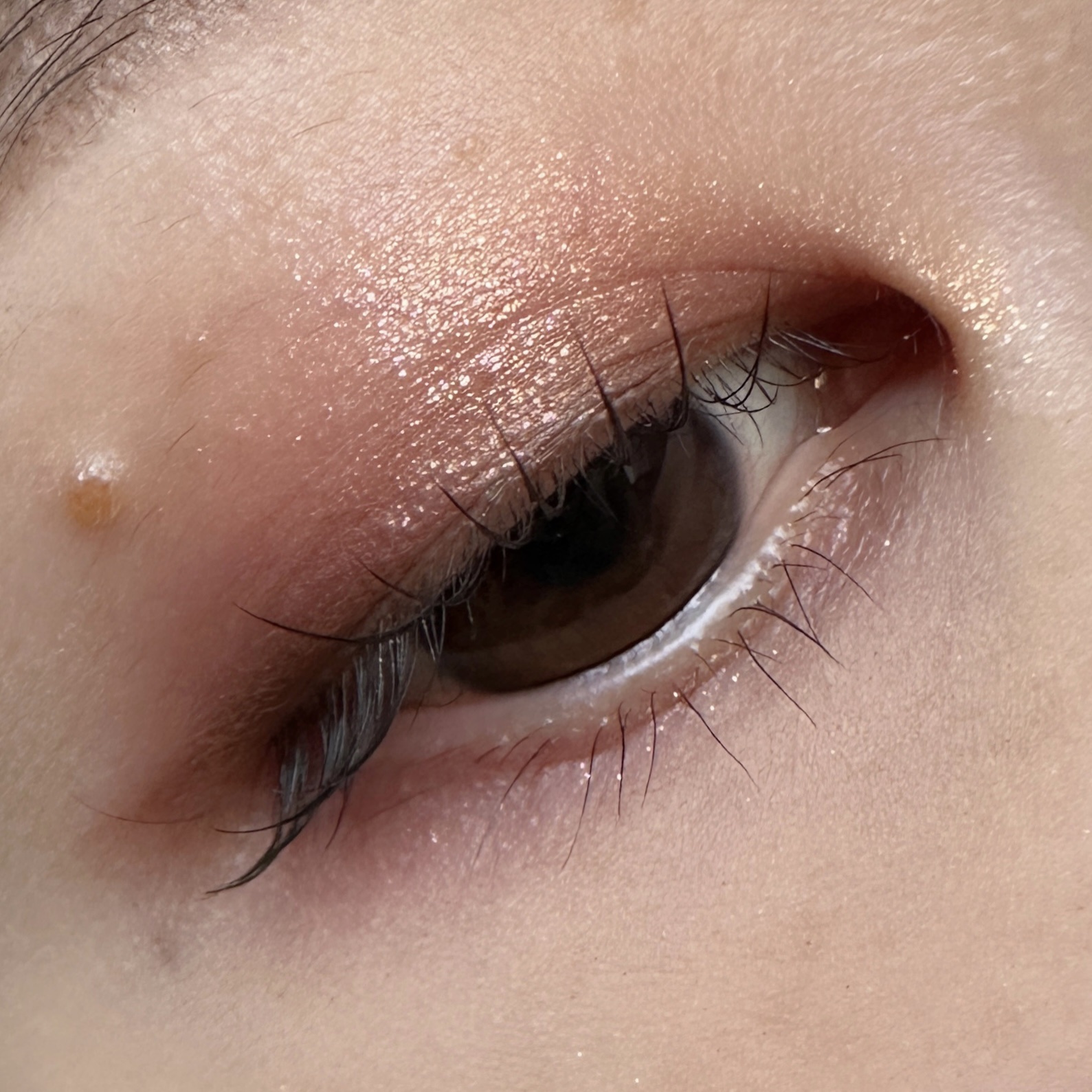 ポップ パウダージェル アイシャドウ/SHISEIDO/単色アイシャドウを使ったクチコミ（3枚目）