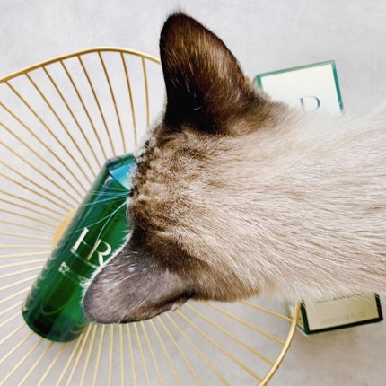 P.C. スキンミュニティ エッセンス ローション/HELENA RUBINSTEIN/化粧水を使ったクチコミ(3枚目)