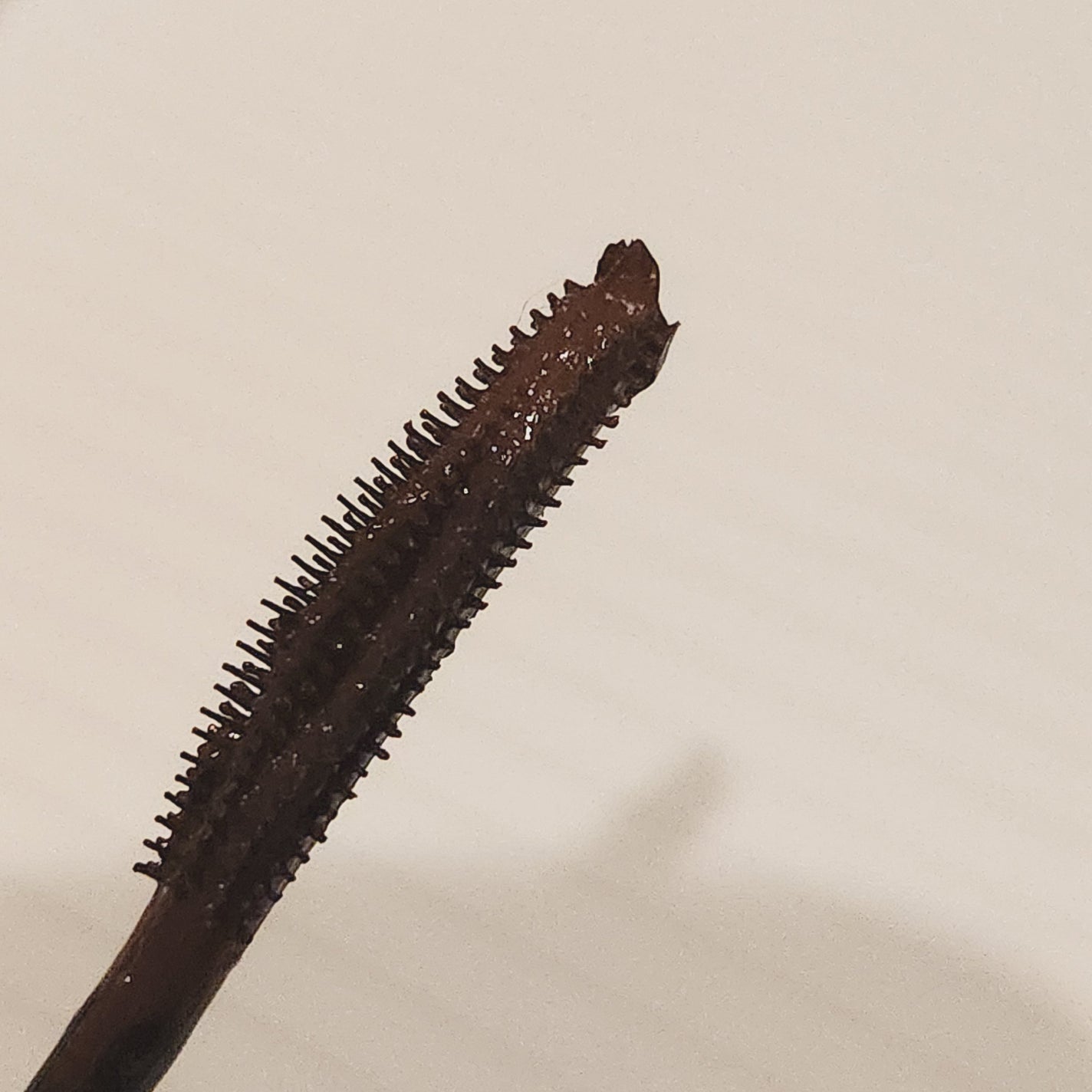 スカイハイ/MAYBELLINE NEW YORK/マスカラを使ったクチコミ(2枚目)