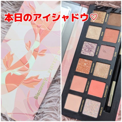 エクスプローラ12色 動物アイシャドウパレット/PERFECT DIARY/アイシャドウパレットを使ったクチコミ(1枚目)