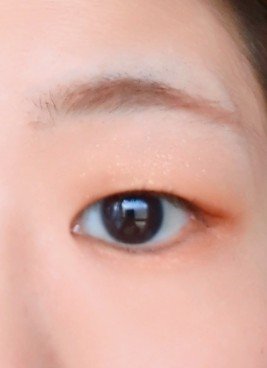 ウルトラ WP マスカラ(ロング) 02 ブラウン/FASIO/マスカラを使ったクチコミ（1枚目）