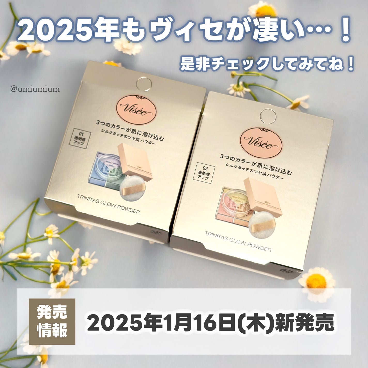 トリニタス グロウ パウダー/Visée/ルースパウダーを使ったクチコミ(6枚目)