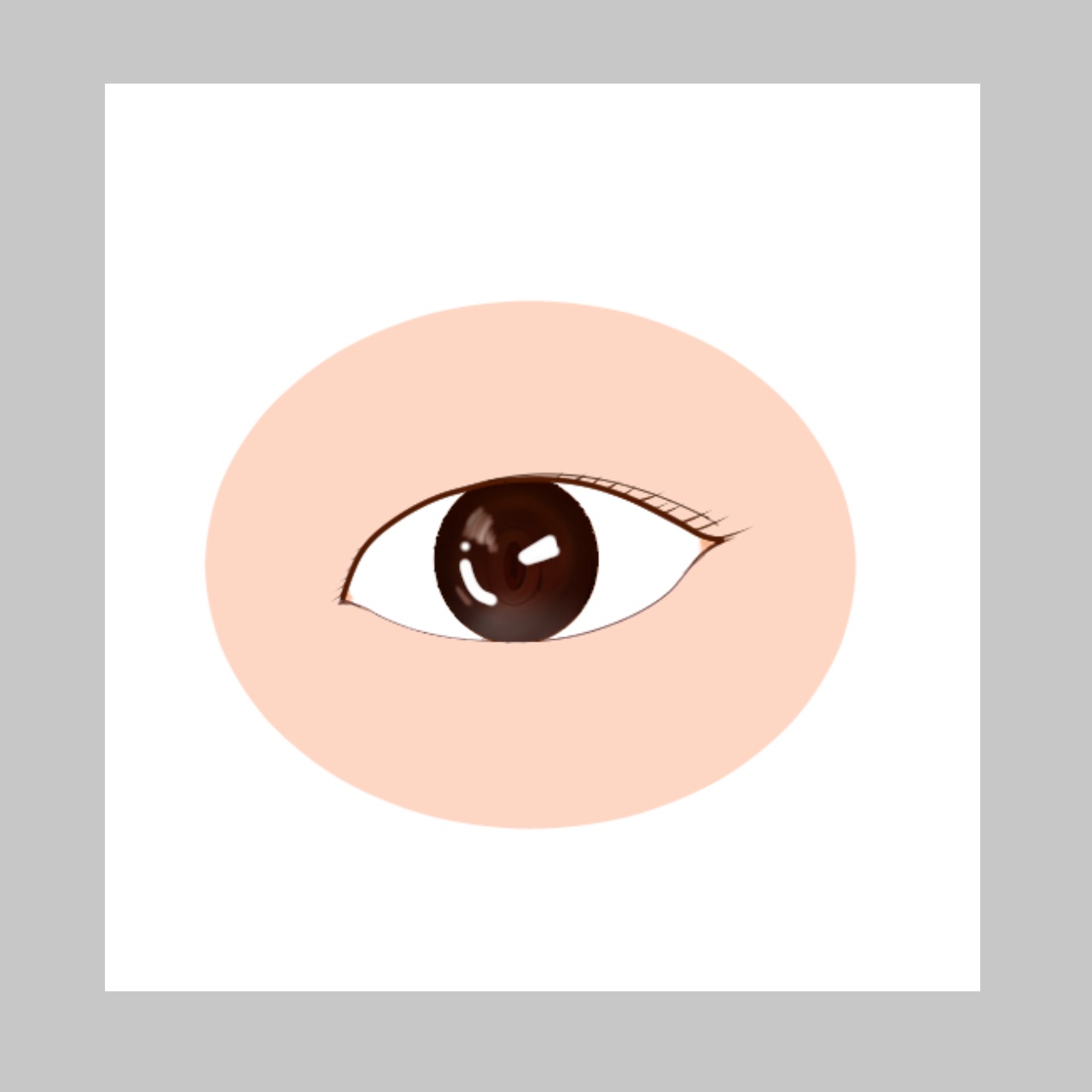 女王のカメオマルチパレット  01 シャルロット/COLORROSE/マルチパレットを使ったクチコミ（2枚目）