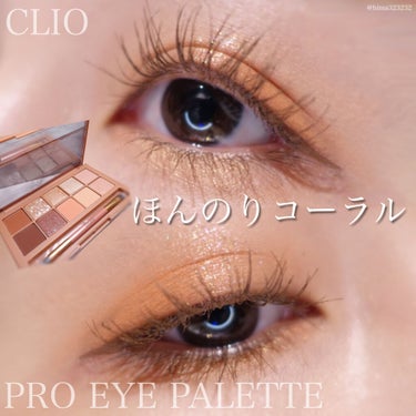 プロ アイ パレット/CLIO/アイシャドウパレットを使ったクチコミ（1枚目）