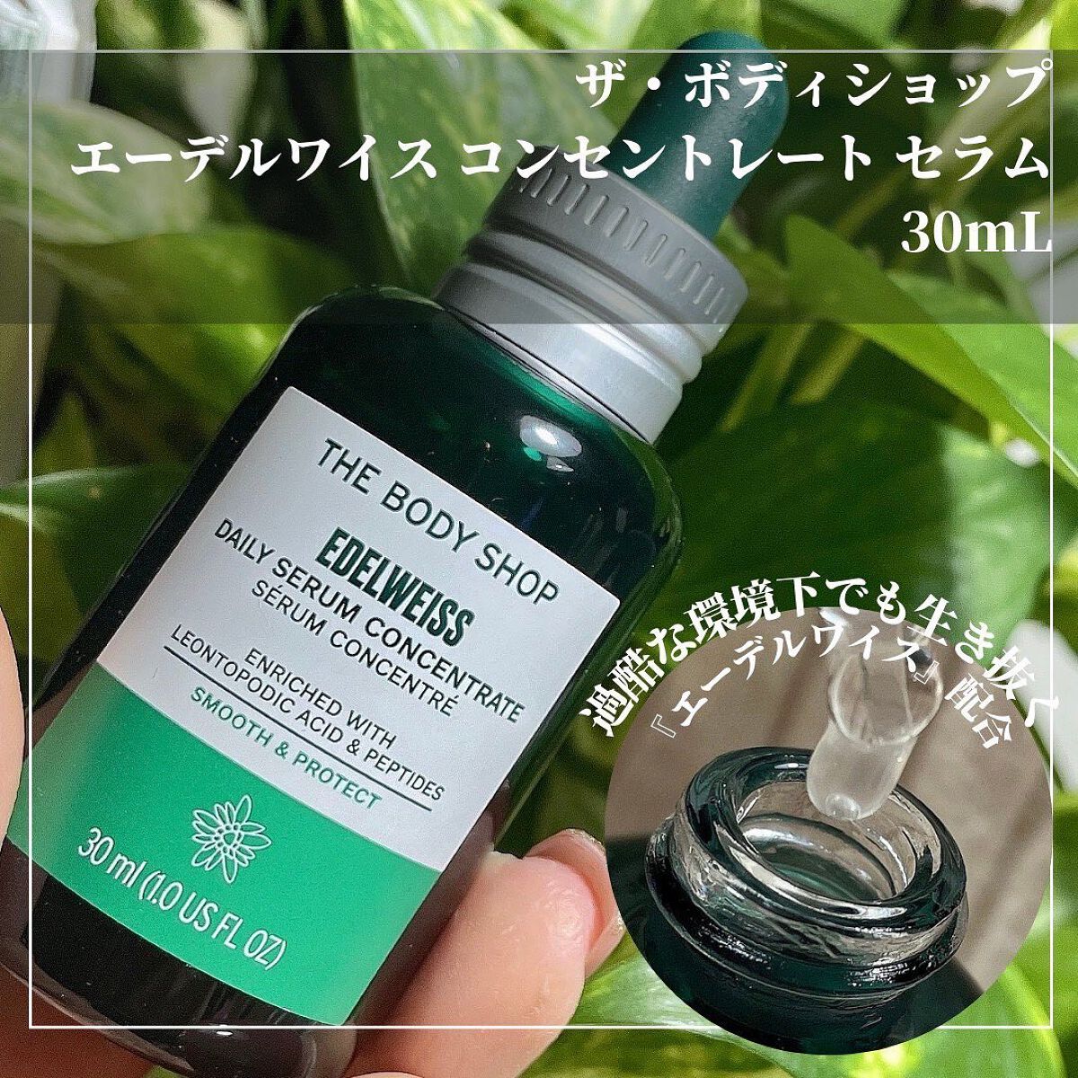EDW コンセントレート セラム/THE BODY SHOP/美容液を使ったクチコミ(5枚目)