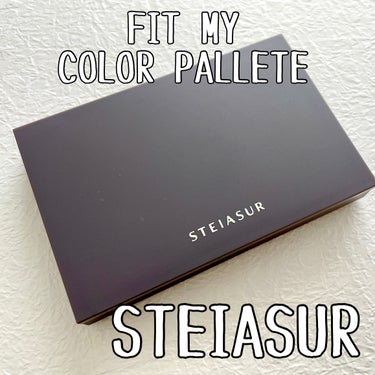 フィット my カラーパレット/STEIASUR（ステイアシュール）/メイクアップキットを使ったクチコミ（1枚目）