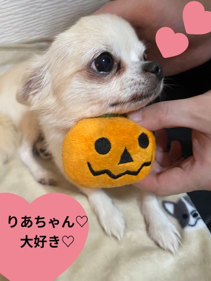 ネイルスタイラー/CLIO/マニキュアを使ったクチコミ(7枚目)