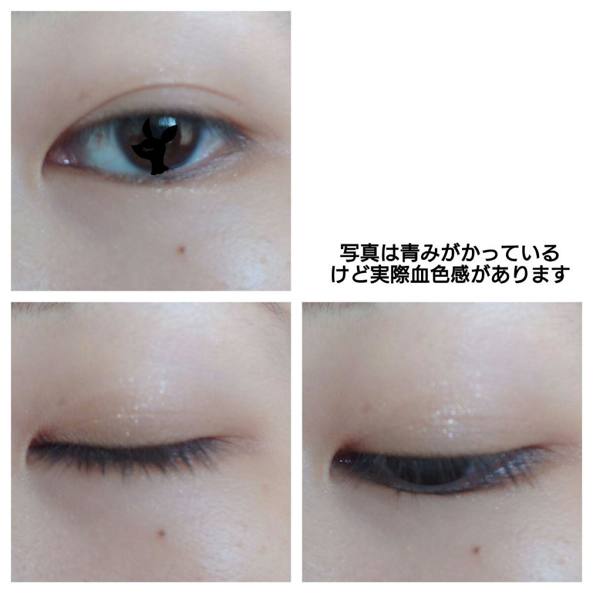 アニマルアイシャドウ(4シェード)/ZEESEA/アイシャドウパレットを使ったクチコミ(2枚目)