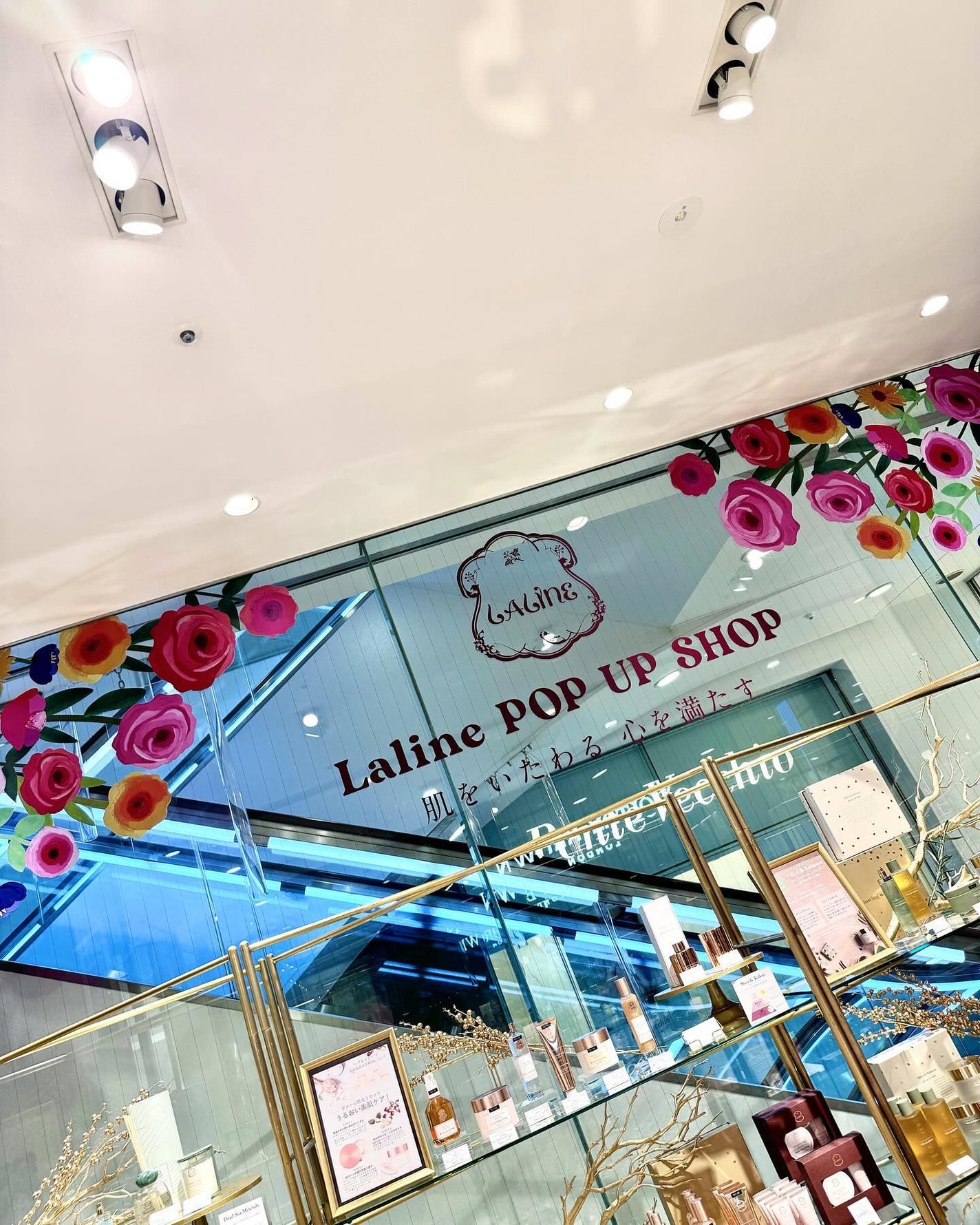 デッドシーミネラルズ ヘアーセラム/Laline/ヘアオイルを使ったクチコミ(4枚目)