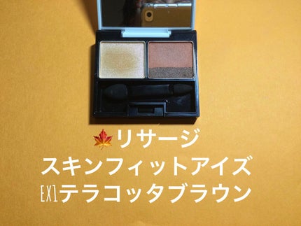 スキンフィットアイズ/リサージ/アイシャドウパレットを使ったクチコミ(2枚目)