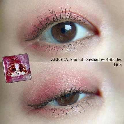 アニマルアイシャドウ(4シェード)/ZEESEA/アイシャドウパレットを使ったクチコミ(1枚目)