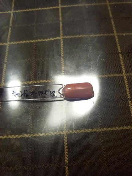 パル カラージェル/キャンドゥ/ジェルネイルを使ったクチコミ(2枚目)