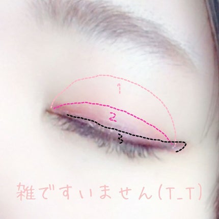 グラマラスリッチ アイパレット (クリスマスコフレ 2018)/Visée/メイクアップキットを使ったクチコミ(4枚目)