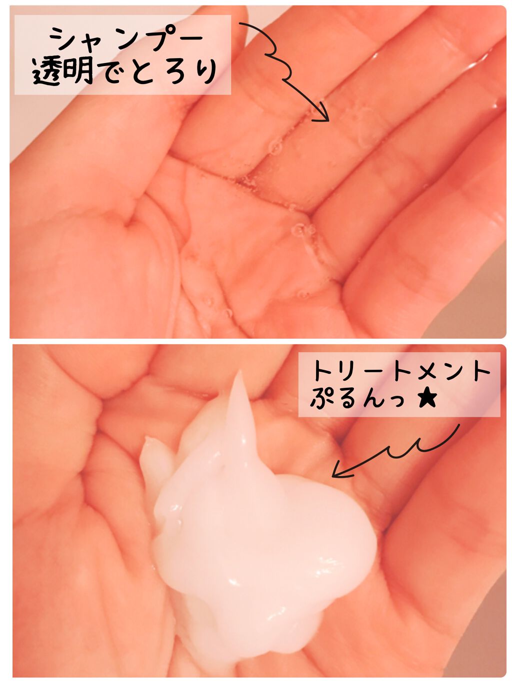 PRO-V ãã»ã©ãŒ ãã¥ã¢ïŒããŒãºãŠã©ãŒã¿ãŒ ãã³ã·ãªã³ã³ã·ã£ã³ããŒ/ããªãŒãã¡ã³ã/ãã³ããŒã³/åžè²©ã·ã£ã³ããŒã䜿ã£ãã¯ãã³ãïŒ3æç®ïŒ