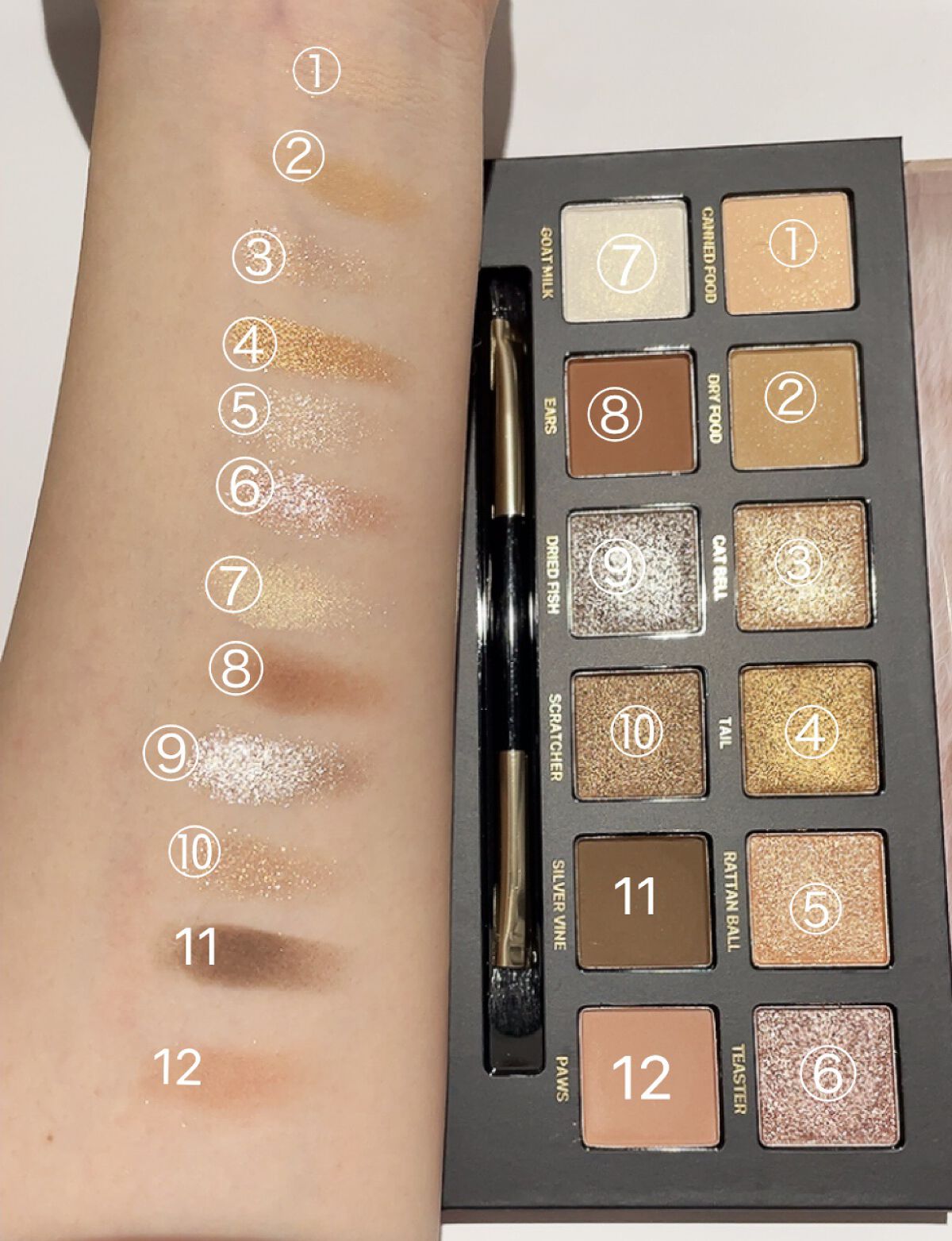 エクスプローラ12色 動物アイシャドウパレット/PERFECT DIARY/アイシャドウパレットを使ったクチコミ（3枚目）