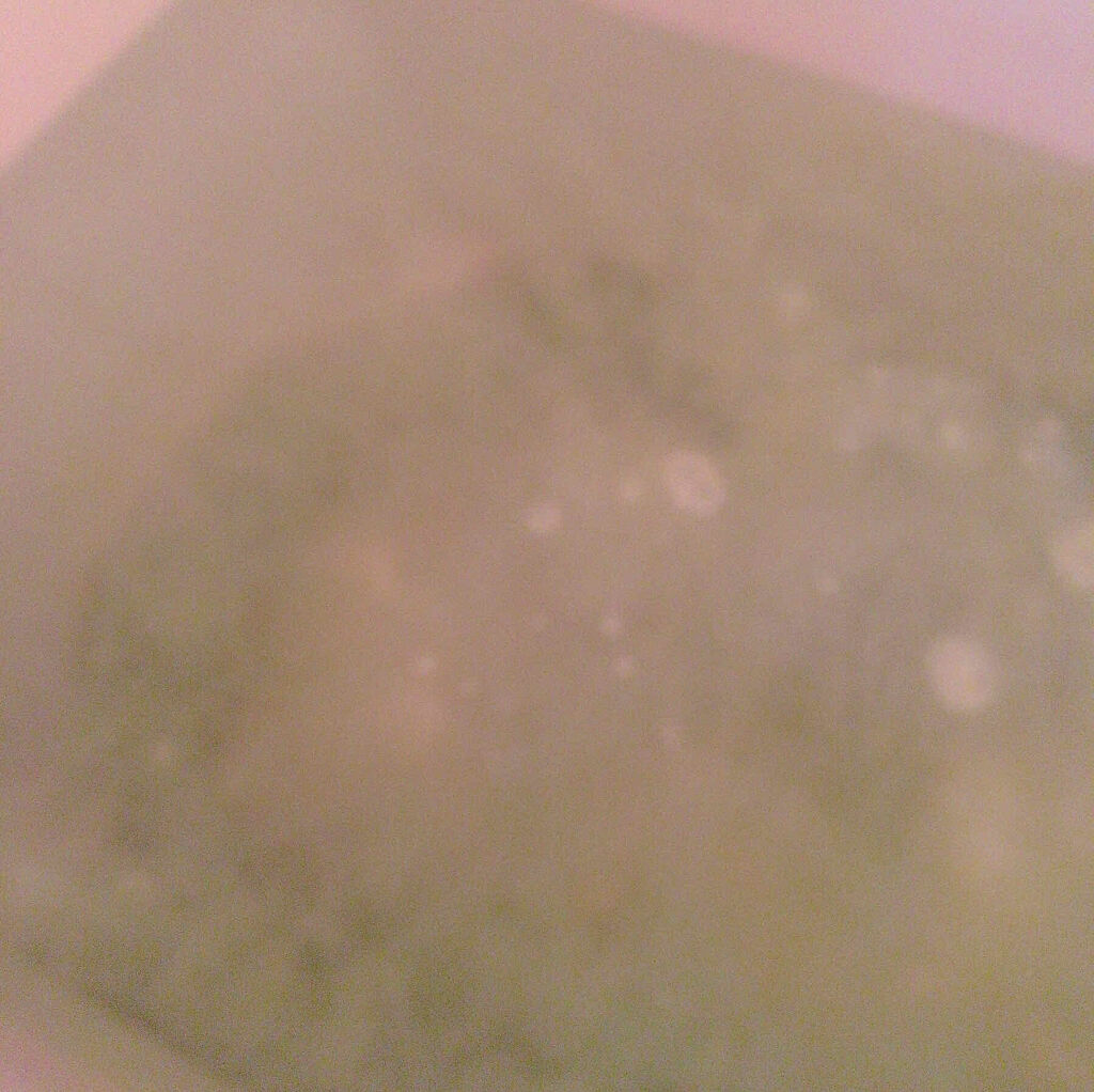 ワフードメイド　宇治抹茶の湯/pdc/保湿系入浴剤を使ったクチコミ（3枚目）