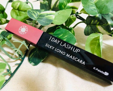 1DAY LASH UP シルキーロングマスカラa/K-パレット/マスカラを使ったクチコミ(2枚目)