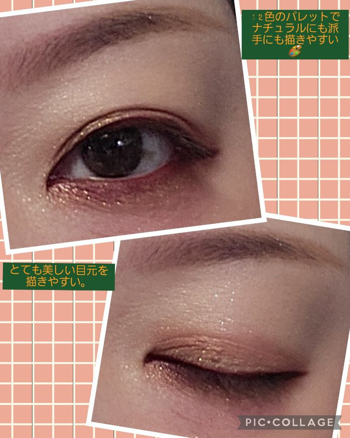 エクスプローラ12色 動物アイシャドウパレット/PERFECT DIARY/アイシャドウパレットを使ったクチコミ(5枚目)