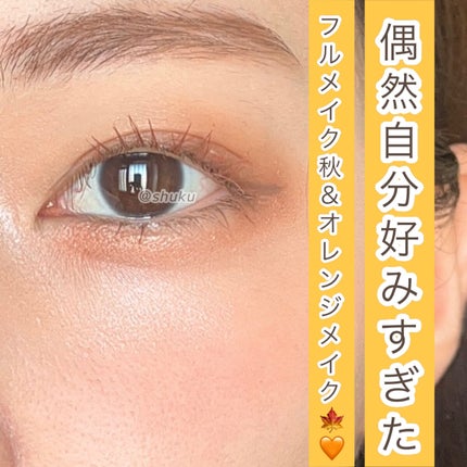 リシェ レッドトリック アイコンシーラー/Visée/パレットコンシーラーを使ったクチコミ(1枚目)