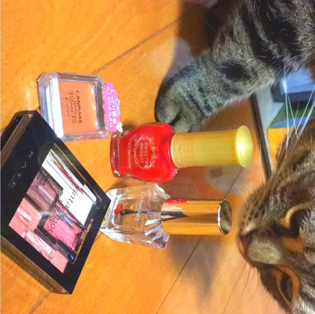 カラフルネイルズ ネイルハードナー/キャンメイク/ネイルトップコートを使ったクチコミ(1枚目)