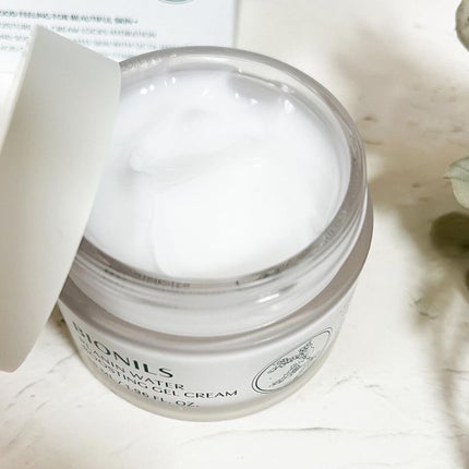 プラニンウォーターブースティングジェルクリーム/BIONILS/フェイスクリームを使ったクチコミ(2枚目)