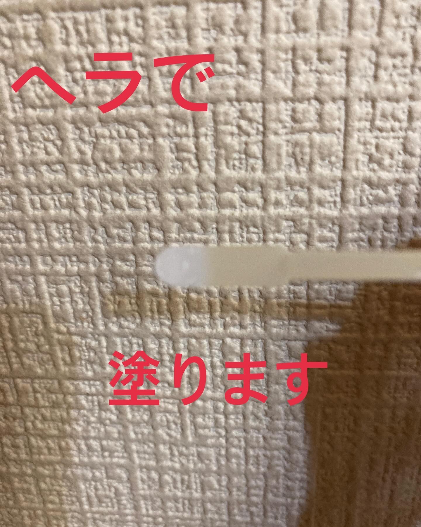 メラターンスポットクリア/リリーイブ/その他スキンケアを使ったクチコミ（3枚目）