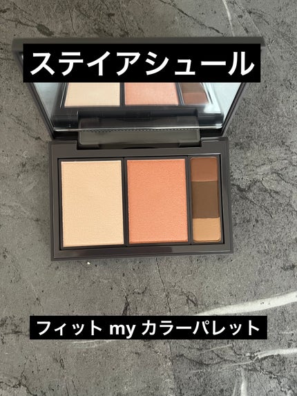 フィット my カラーパレット/STEIASUR(ステイアシュール)/マルチパレットを使ったクチコミ(1枚目)